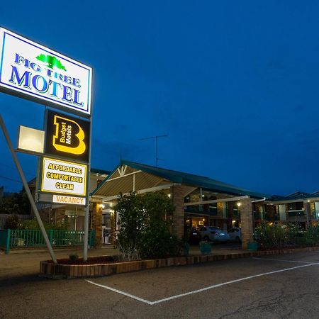 Fig Tree Motel Narrandera Exterior foto